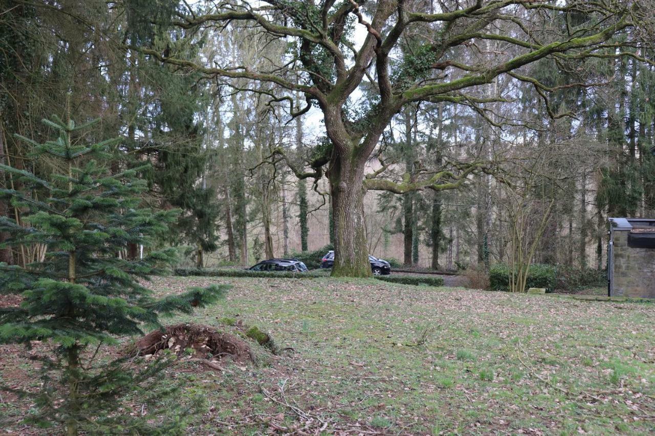 Le Portail Des Ardennes Villa Nassogne Buitenkant foto